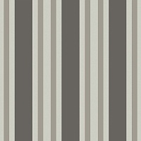 Обои Cole&Son Marquee Stripes 110-1001