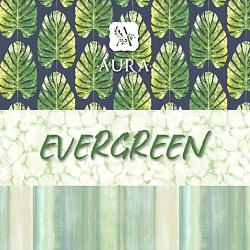 Каталог Evergreen