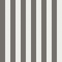 Обои Cole&Son Marquee Stripes 110-3016